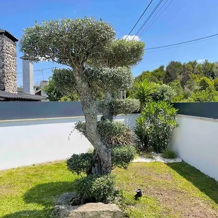 - Ancora - 300 Metres De L'ocean