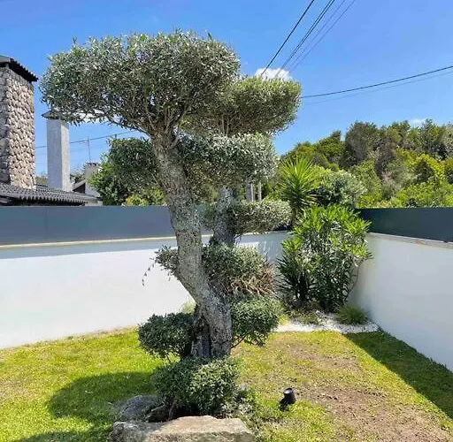 - Ancora - 300 Metres De L'ocean