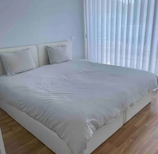 - âncora - 300 Mètres De L’océan Villa Vila Praia de Âncora